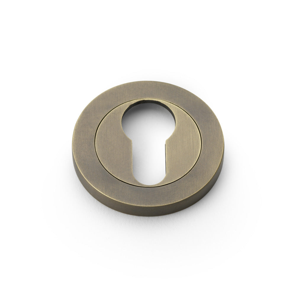 Concealed Fix Escutcheon Euro Profile - Italian Brass