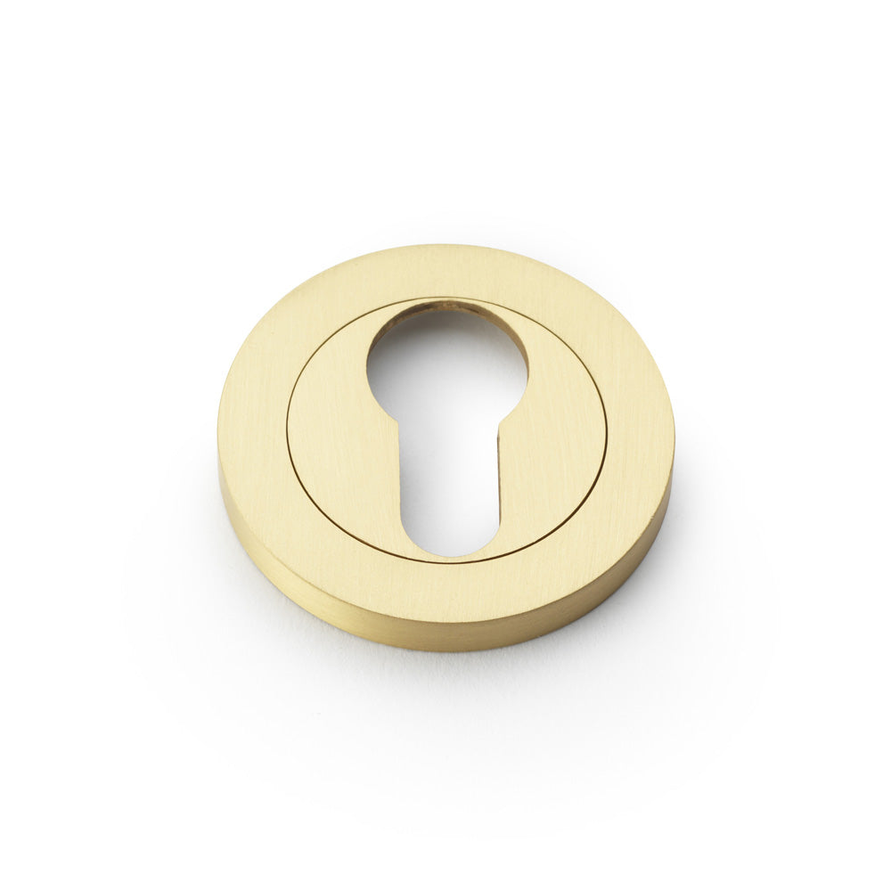 Concealed Fix Escutcheon Euro Profile - Satin Brass