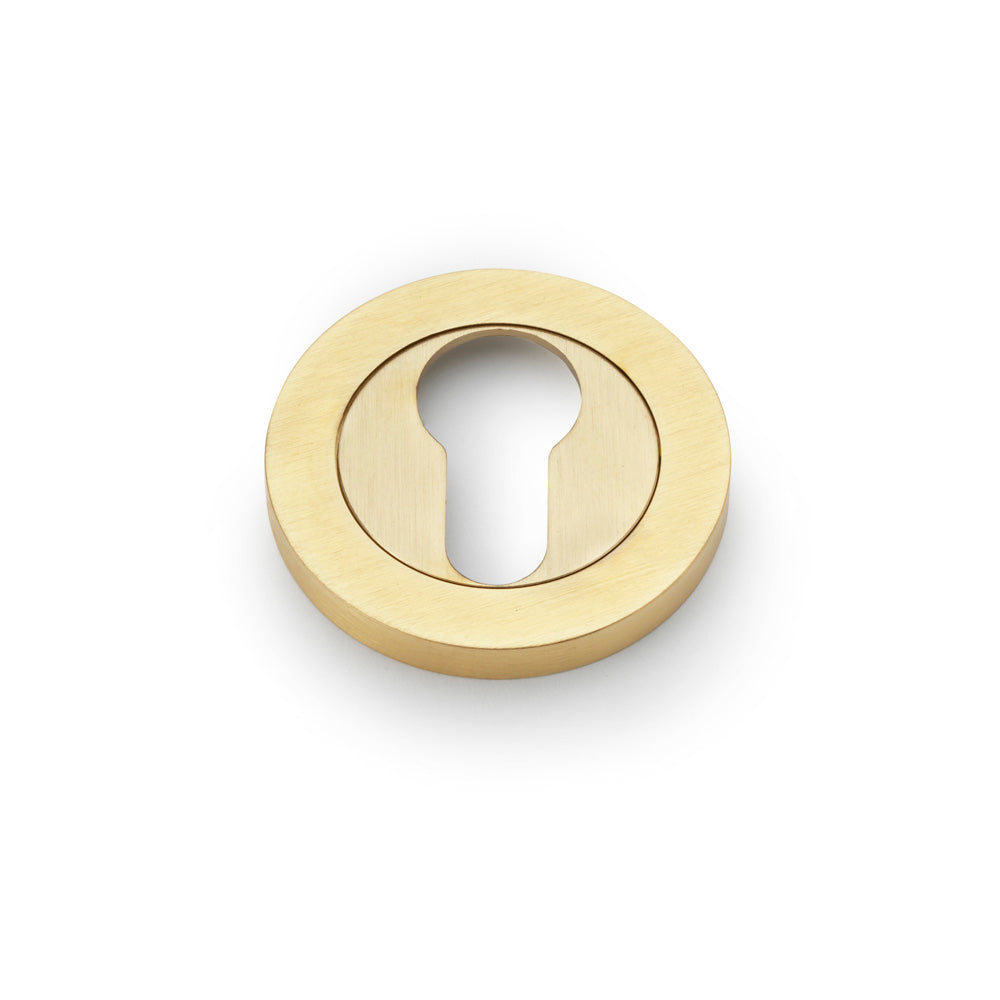 Concealed Fix Escutcheon Euro Profile - Satin Brass PVD