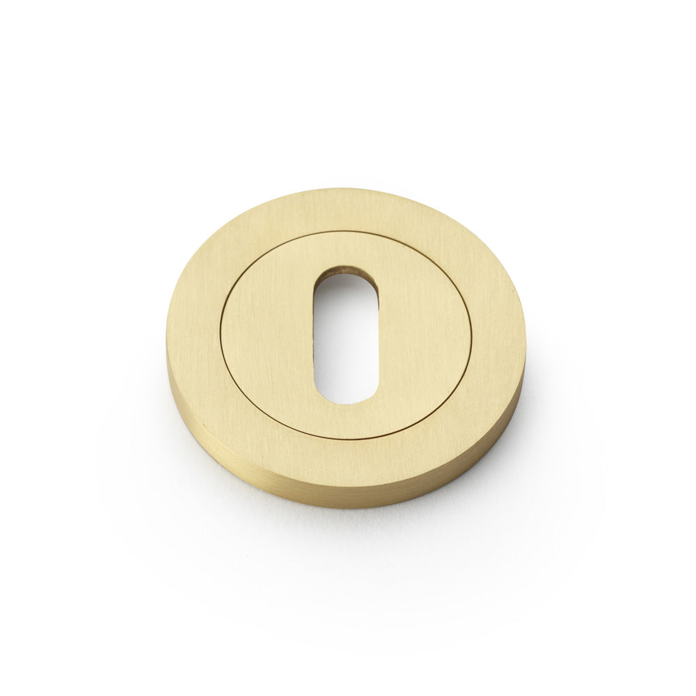 Concealed Fix Escutcheon Standard Profile - Satin Brass