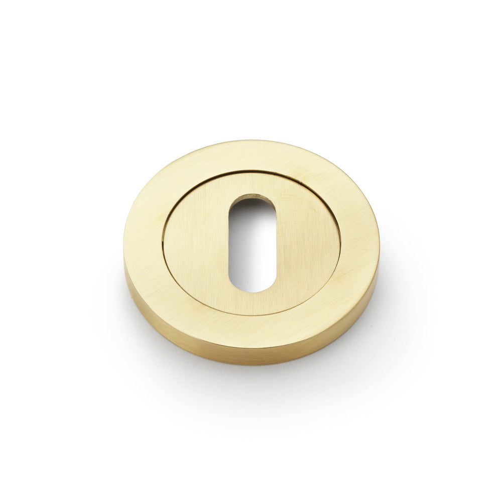 Concealed Fix Escutcheon Standard Profile - Satin Brass PVD