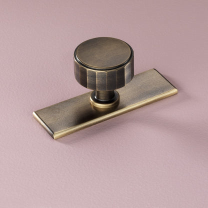 Broadway Brushed Bronze Cabinet Knob on Backplate